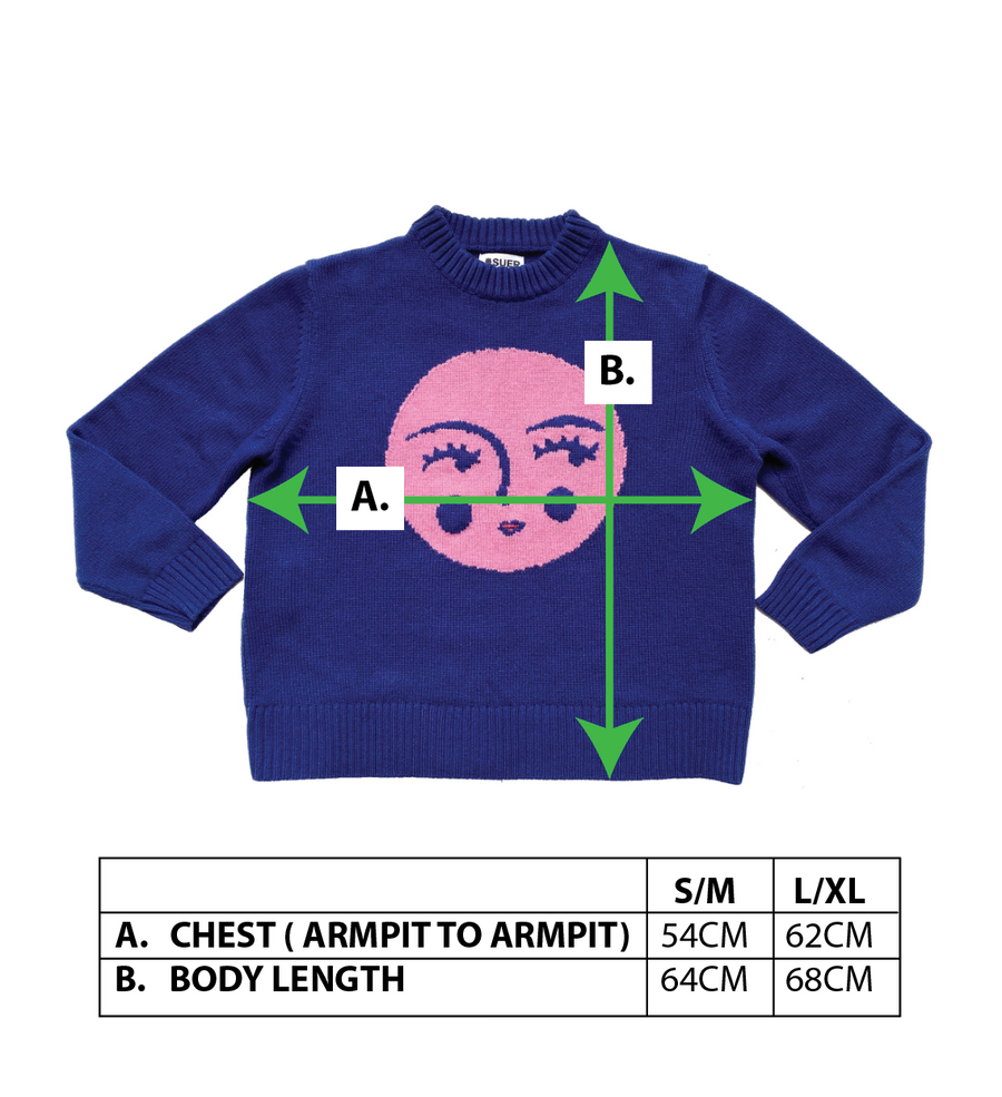 Pink Moon Jumper x Sara Emami